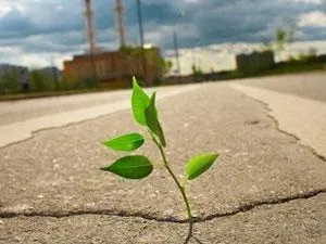 Залежність людини від природи (залежність) Залежність людини від природи