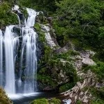 Зелений туризм види, особливості, цікаві місця (цікаві) Зелений туризм види, особливості, цікаві місця