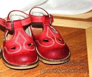 Жіночі черевики kickers