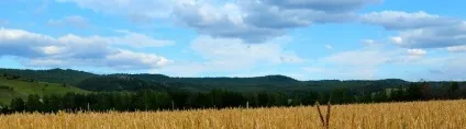 Зелений туризм вУкаіни