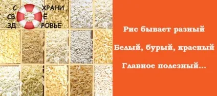 Смажену цибулю користь і шкода