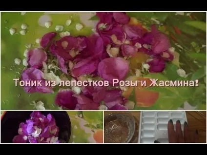 Жасмин - корисні властивості, використання в косметології та медицині