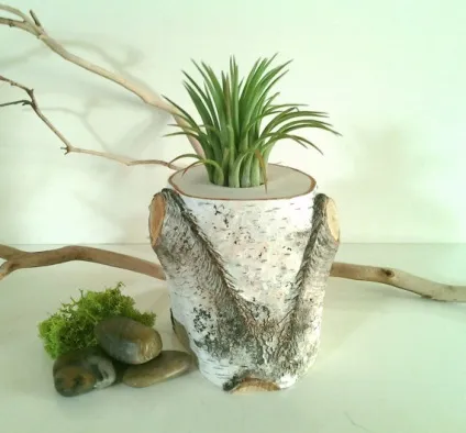 Зелений дизайн - є куди рости - ярмарок майстрів - ручна робота, handmade (еко) Зелений дизайн - є куди рости - ярмарок майстрів - ручна робота, handmade