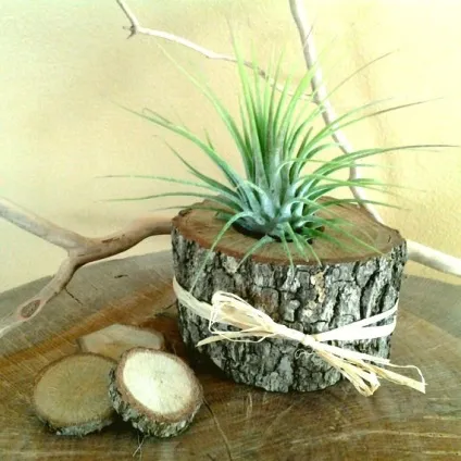 Зелений дизайн - є куди рости - ярмарок майстрів - ручна робота, handmade (весна) Зелений дизайн - є куди рости - ярмарок майстрів - ручна робота, handmade