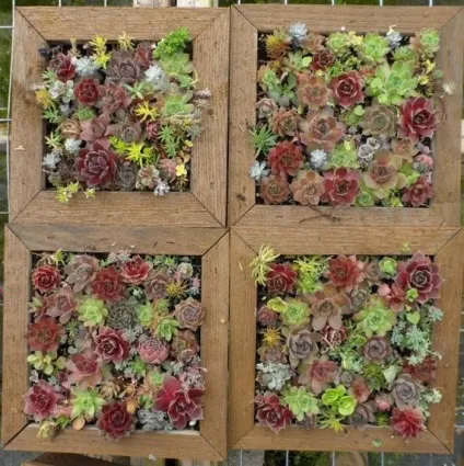 Зелений дизайн - є куди рости - ярмарок майстрів - ручна робота, handmade (дизайн) Зелений дизайн - є куди рости - ярмарок майстрів - ручна робота, handmade