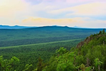 Життя в тайзі