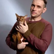 Продаж абіссінської кішки
