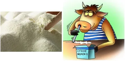 Виробництво сухого молока міні завод як бізнес (виробництво) Виробництво сухого молока міні завод як бізнес