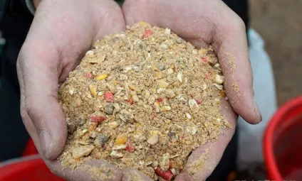 Прикормка для білого амура своїми руками кращі рецепти в домашніх умовах (жменю консервованої кукурудзи) Прикормка для білого амура своїми руками кращі рецепти в домашніх умовах