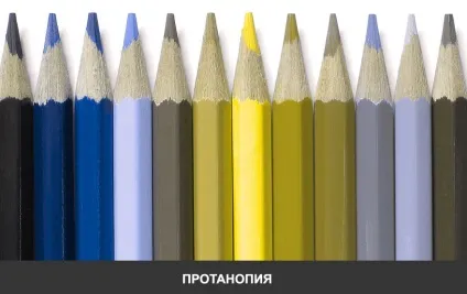 Протанопія причини, діагностика, терапія та лікування