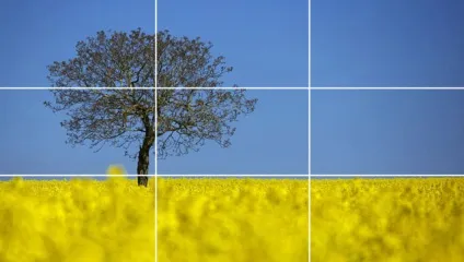 10 Міфів про правило третин (правила композиції у фотографії) 10 Міфів про правило третин