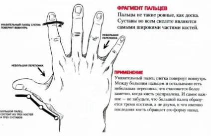 136 Малюємо людини - veroni4ka