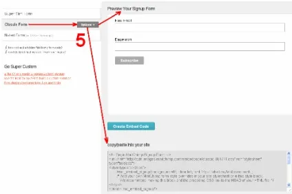 11 Розміщуємо форму підписки практичний email маркетинг (маркетинг) 11 Розміщуємо форму підписки практичний email маркетинг