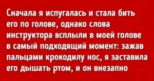 22 Серіалу з високим рейтингом для тих, хто хоче відпочити у вихідні (хоче) 22 Серіалу з високим рейтингом для тих, хто хоче відпочити у вихідні