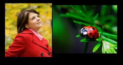24 Наташа який кіт, такий і господар! Жіночий клуб - мамин клуб (господар) 24 Наташа який кіт, такий і господар! Жіночий клуб - мамин клуб