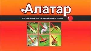 АЛАТАР для боротьби з різними комахами, відгуки та інструкція (боротьби) АЛАТАР для боротьби з різними комахами, відгуки та інструкція