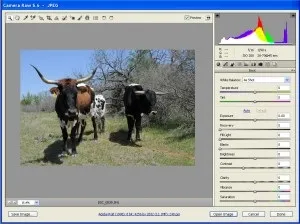 Adobe photoshop