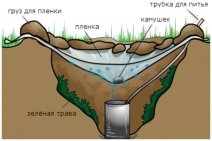 А що ви будете робити потрапивши на безлюдний острів гумор фм - головний по гумору (звичайно) А що ви будете робити потрапивши на безлюдний острів гумор фм - головний по гумору