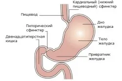 Антацидний гастрит симптоми і лікування (антацидний) Антацидний гастрит симптоми і лікування