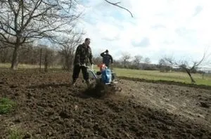 Оренда землі сільгосппризначення умови угоди і зразок договору (угоди) Оренда землі сільгосппризначення умови угоди і зразок договору