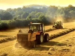 Оренда землі сільгосппризначення умови угоди і зразок договору (оренда сільськогосподарських земель) Оренда землі сільгосппризначення умови угоди і зразок договору