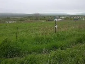 Оренда землі сільгосппризначення (землі) Оренда землі сільгосппризначення