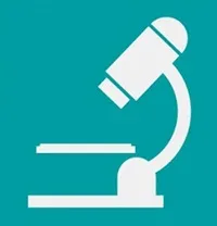 Баланіт (кандидозний) у дитини причини, симптоми, лікування (дитини) Баланіт (кандидозний) у дитини причини, симптоми, лікування