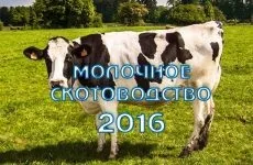 Бактеріальна забрудненість молока шляхи зниження