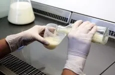 Бактеріальна забрудненість молока шляхи зниження