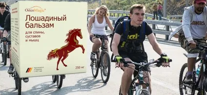 Бальзам кінський від болю в суглобах - огляд, система, опис, відгуки людей, дію, де купити (болі) Бальзам кінський від болю в суглобах - огляд, система, опис, відгуки людей, дію, де купити