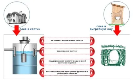 Бактерії для дачного туалету принцип дії, види, застосування, препарати
