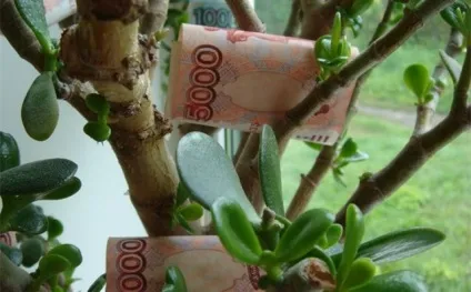 Бабусині секрети як виростити довгі і густі волосся всього за місяць - в мережі - себе просвіти! (Волосся) Бабусині секрети як виростити довгі і густі волосся всього за місяць - в мережі - себе просвіти!