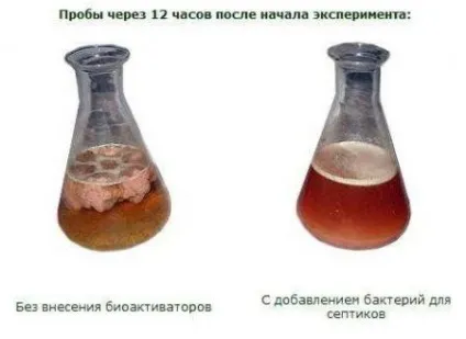 Бактерії для септиків та вигрібних ям аеробні і анаеробні (бактерії) Бактерії для септиків та вигрібних ям аеробні та анаеробні