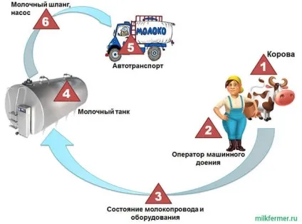 Бактеріальна забрудненість молока шляхи зниження