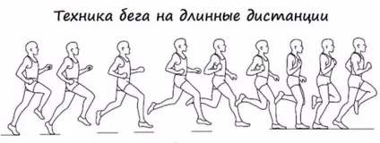 Біг на довгі дистанції як навчитися правильній техніці