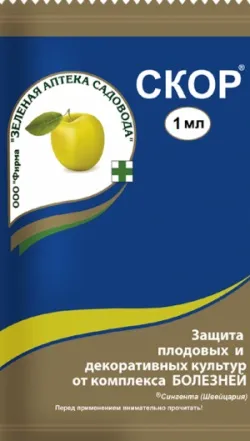 Хвороби персика курчавость листя персика, як лікувати (хвороби) Хвороби персика курчавость листя персика, як лікувати
