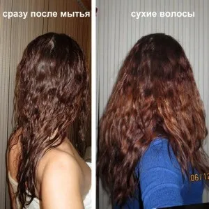 Біозавивка волосся Мосса відгук, фото, ціна (ціна) Біозавивка волосся Мосса відгук, фото, ціна