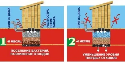 Біоактиватори для дачних туалетів - відгуки позитивні (де купити біоактиватори для дачних туалетів) Біоактиватори для дачних туалетів - відгуки позитивні