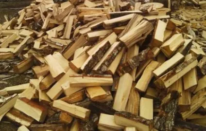 Бізнес на дровах, як організувати продаж дров (дровах) Бізнес на дровах, як організувати продаж дров