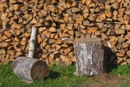 Бізнес на дровах, як організувати продаж дров (дров) Бізнес на дровах, як організувати продаж дров