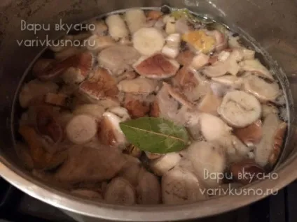 Швидкий рецепт маринування білих грибів за 1 день (швидкий) Швидкий рецепт маринування білих грибів за 1 день