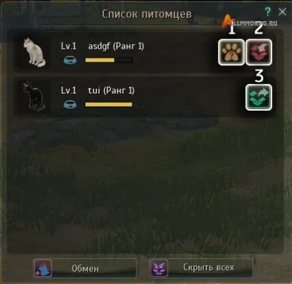 Black desert гайд по вихованцям