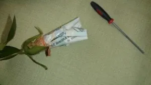 Букет з грошей