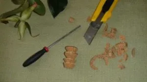 Букет з грошей