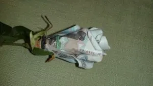 Букет з грошей