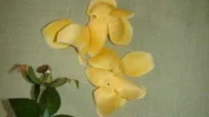 Букет з грошей