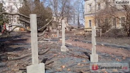 Ботанічний сад, Харків - «на цвітіння яких рослин можна йти прямо зараз (ботанічний) Ботанічний сад, Харків - «на цвітіння яких рослин можна йти прямо зараз