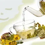 Чай з малиною - при застуді, рецепти, користь (застуді) Чай з малиною - при застуді, рецепти, користь