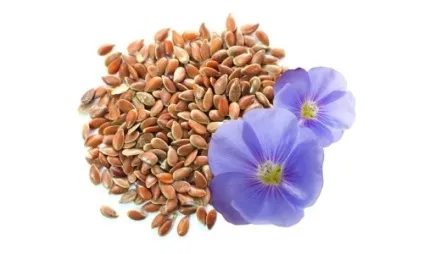 Бурсит п'яти (п'ятковий, подпяточний) що це таке, причини, симптоми, лікування, народні засоби (п'ятковий) Бурсит п'яти (п'ятковий, подпяточний) що це таке, причини, симптоми, лікування, народні засоби
