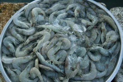 Ціни на продукти в Тайланді фото-екскурсія по магазинах (ціни Таїланд) Ціни на продукти в Тайланді фото-екскурсія по магазинам